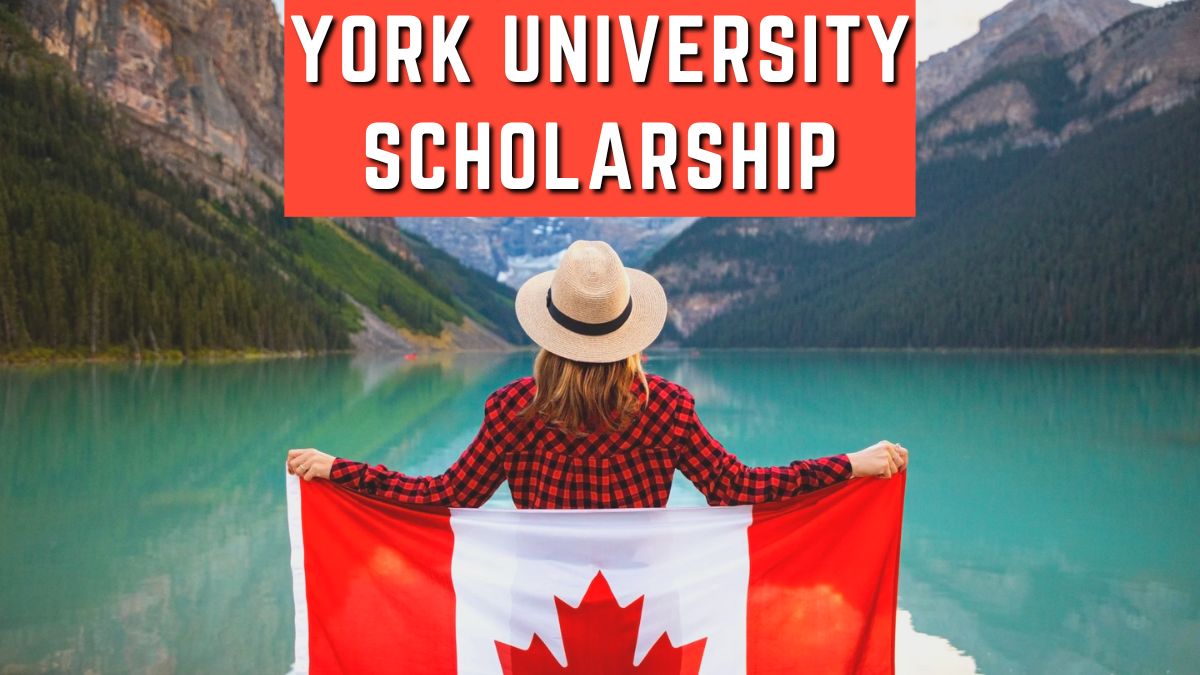 York University Scholarship